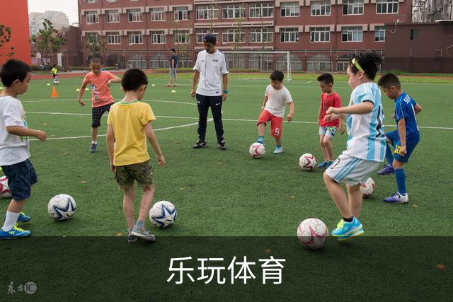 乐玩体育公司介绍图片